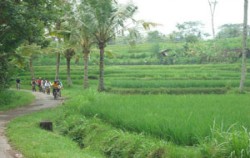 Bali Bike Baik Tour, Bali Cycling, Enjoy the track