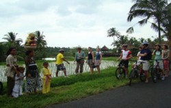 Bali Bike Baik Tour, Village Rice View Cycling