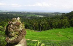 Bali Cross, Beautiful View