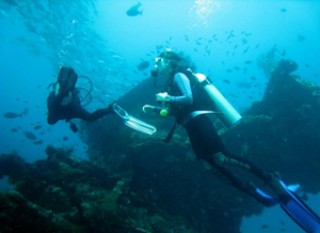 Diving Activity