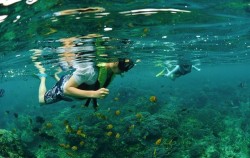 Nusa Penida Adventure Cruise, Bali Cruise, Snorkeling Activity