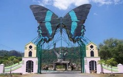 Bantimurung Butterfly Museum,Toraja Adventure,South Sulawesi Round Trip (The Authentic of South Sulawesi) 8 Days / 7 Nights