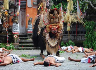 Barong Cat Show