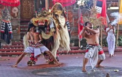 One Day Tour with Barong Dance, Barong and Keris Dance