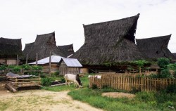 Batak Karo Traditional Village image, Great Sumatra Adventure 16 Days, Sumatra Adventure