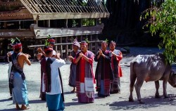 Exotic Nature Sumatra Tour 14 Days, Batak Toba Traditional Dance