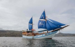 Bos - Boat image, Komodo Open Trip 3D2N by Bajo Ocean Star Deluxe Phinisi, Komodo Open Trips