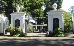 The Breeze of Puncak Bogor Highlands, Bogor Botanical Garden