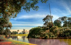 Bogor Botanical Garden image, The Breeze of Puncak Bogor Highlands, Jakarta Tour