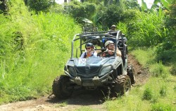Buggy in Forest,Fun Adventures,Buggy Discovery Tour by Bali Quad