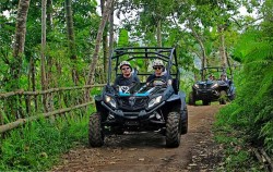 Buggy Explorer image, Buggy Explorer Tour by Bali Quad, Fun Adventures