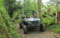 Buggy in Forest,Fun Adventures,Buggy Explorer Tour by Bali Quad