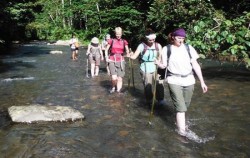 Bukit Lawang Trekking image, North Sumatra Special Tour 14 Days 13 Nights, Sumatra Adventure