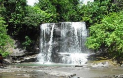 Buluh Waterfall image, Explore Tangkahan Tour A 7 Days 6 Nights, Sumatra Adventure