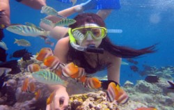 Manado Tour 4 Days & 3 nights Package, Bunaken Snorkeling