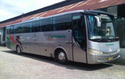 Large Bus 47 Seats image, Bus Charter in Bali, Bali Car Charter