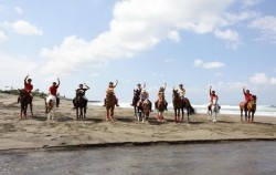 Horse riding on the beach