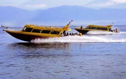 Caspla Bali Fast Boat, 