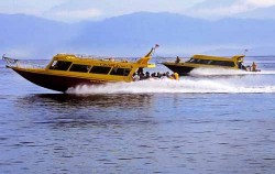 ,Gili Islands Transfer,Caspla Bali Fast Boat