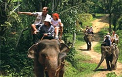 Toekad Adventure, Bali Quad Adventure, Combination with Elephant Ride