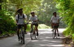 Jatiluwih & Kintamani Cycling, Village Cycling