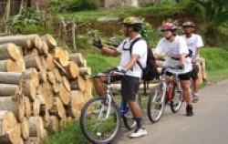 Telaga Waja Cycling Trip,Bali Cycling,Jatiluwih & Kintamani Cycling