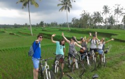 Past the Rice Field,Bali Cycling,Bali Great Bike Tour