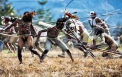 Dani Tribe,Papua Adventure,Baliem Valley Tours 9 Days 8 Nights