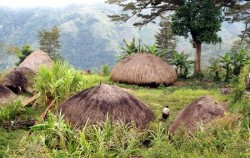 Dani Village,Papua Adventure,Baliem Valley Tours 9 Days 8 Nights