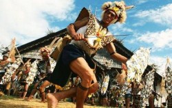 Dayak Tribe image, Orangutan and Dayak Explore 5 Days 4 Nights, Borneo Island Tour