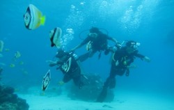 Water Sports in Lembongan, Diving Activity