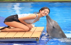 Dolphin Kiss image, Bali Dolphin Marine Park, Bali Dolphins Tour