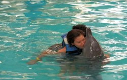 Dolphins Interactive at Melka Hotel Lovina, Dolphin Kissing