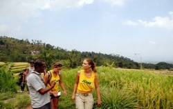 Secret of Sambangan Trekking by Alam Adventure, Bali Trekking, sambangan rice field