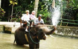 Bakas Elephant Riding, Bali Elephant Riding, Elephant on water