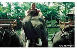 Bali Adventure Elephant Riding, Elephant Safari Park