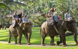 Safari Riding,Bali Elephant Riding,Bali Adventure Elephant Riding