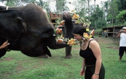 Bakas Levi Rafting, Bali Rafting, Bakas Elephant Show