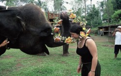 Bakas Elephant Show image, Bakas Levi Rafting, Bali Rafting