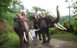 Elephant ride,Bali 3 Combined Tours,Cycling, Elephant Ride & Spa Package