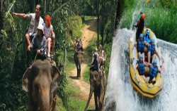 Rafting & Elephant Ride,Bali 2 Combined Tours,Rafting and Elephant Ride