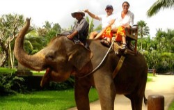 Elephant Ride image, Bali Overnight Package 10 Days and 9 Nights, Bali Overnight Pack