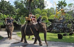 Cycling, Elephant Ride and ATV Ride, Elephant ride package