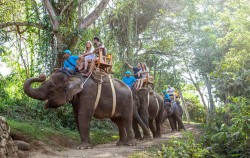 Elephant safari image, Cycling, Elephant Ride & Spa Package, Bali 3 Combined Tours