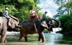 Cycling, Elephant Ride & Spa Package, Bali 3 Combined Tours, Elephant ride tour