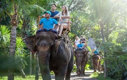With professional guide image, Water Sport, Elephant Ride & ATV Riding, Bali 3 Combined Tours
