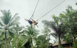 Alas Harum Agrotourism, Extreme Swing
