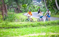 cycling through the village,Bali 3 Combined Tours,Cycling, Elephant Ride and ATV Ride