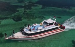 Manta Ray Snorkeling Package, Fast boat to Lembongan Island