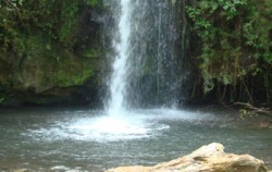 Flores Waterfall